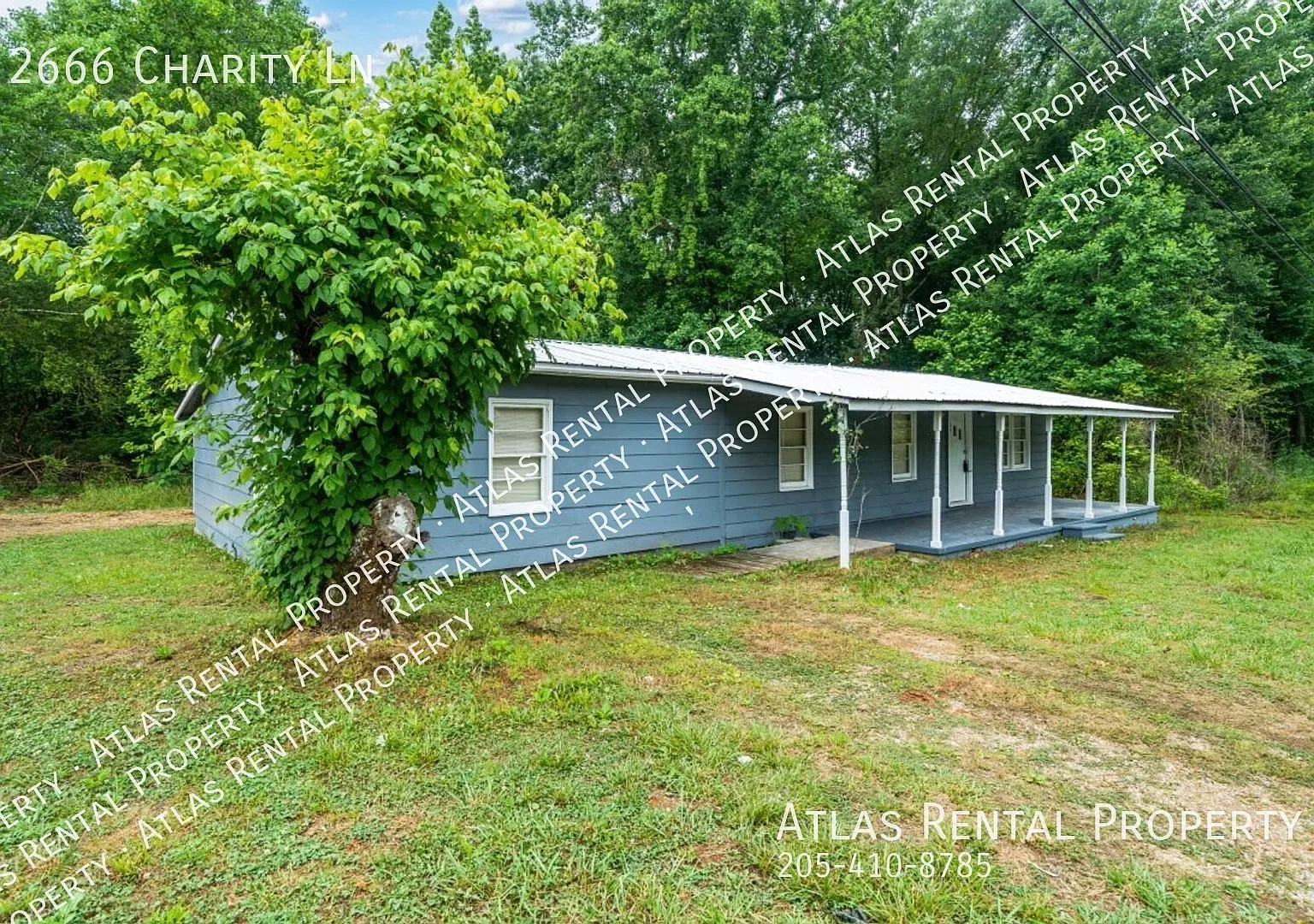4 Bedroom Hazel Green Beauty! Won't last long! — Photo 3
