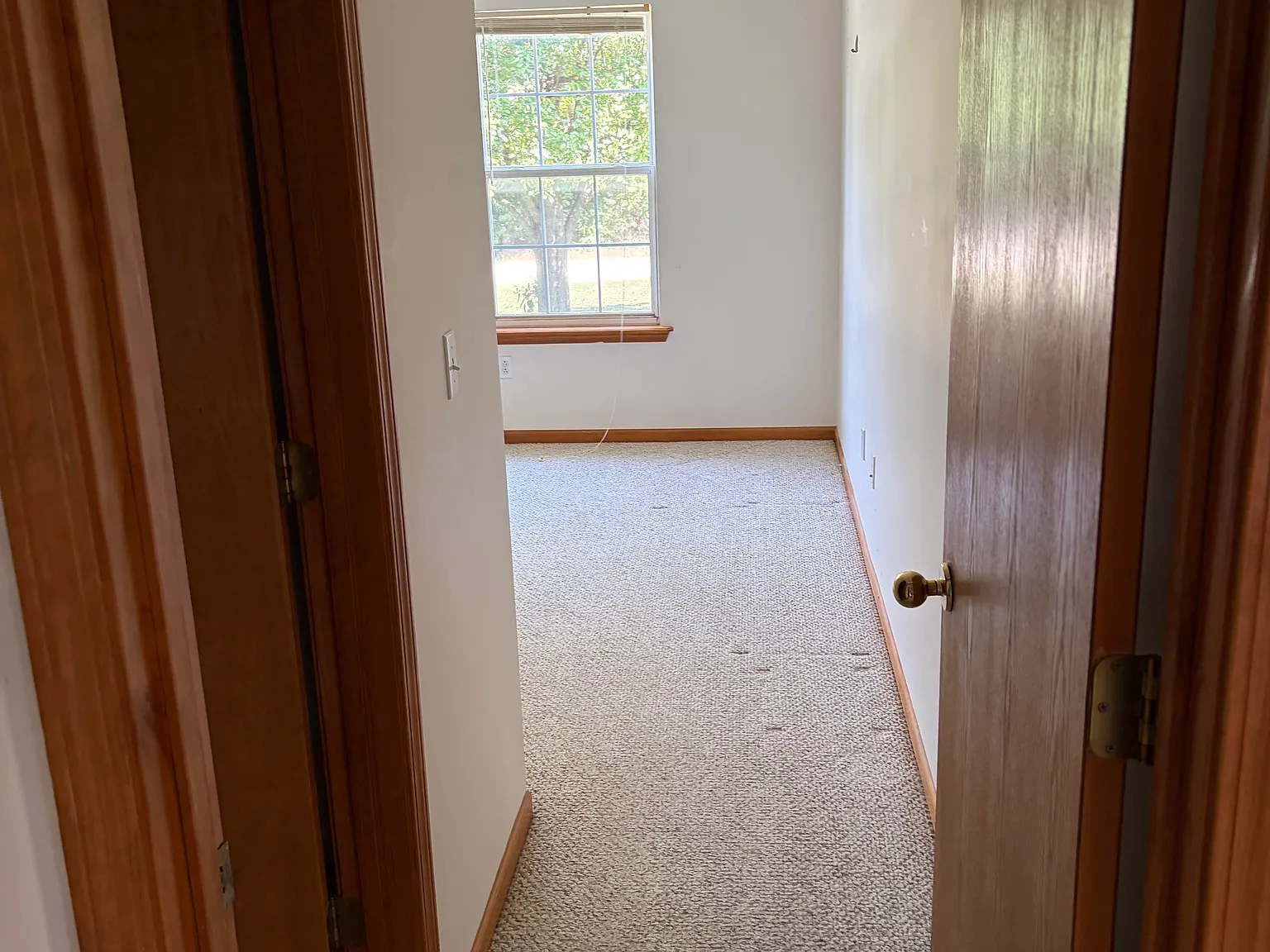 2 bed, 1100 sqft, $1,150 — Photo 2