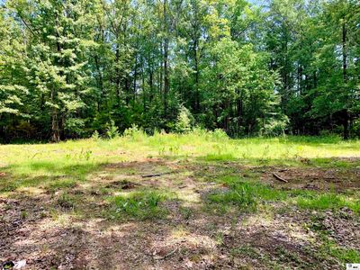 115 Cypress Ln, Farmerville, LA, 71241