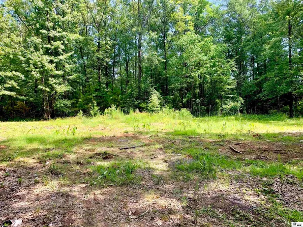 115 Cypress Ln, Farmerville, LA 71241