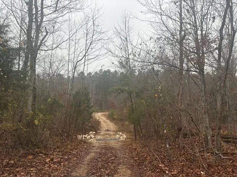 27880 County Road 362 — Photo 16