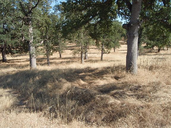 3rd image of 61 Acres Willoa Ln