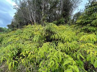 Road 12 LOT 654, Volcano, HI 96785