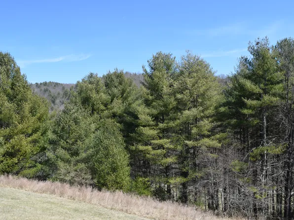 224 Big Simp Ln, Indian Valley, VA 24105