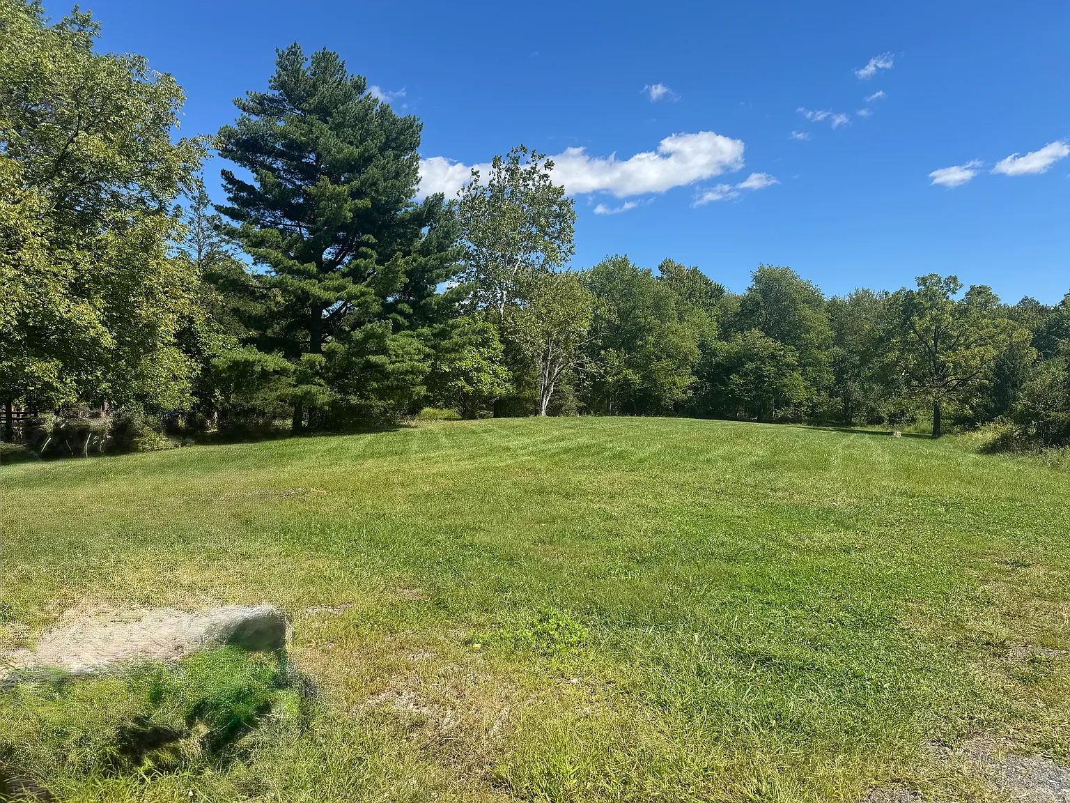3 bed, 2500 sqft, $3,000 — Photo 3