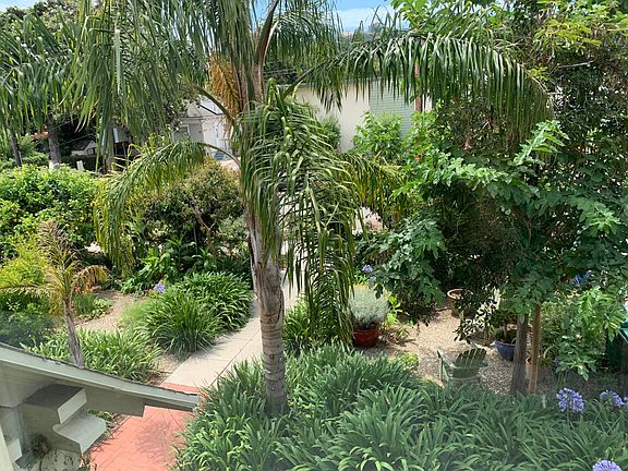 view of the front garden from the living room