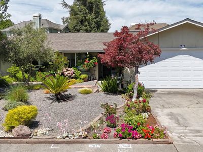 2570 Vine Hill Drive, Napa, CA, 94558