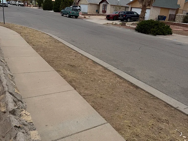 1728 Aquilla Jane Ct — Photo 15