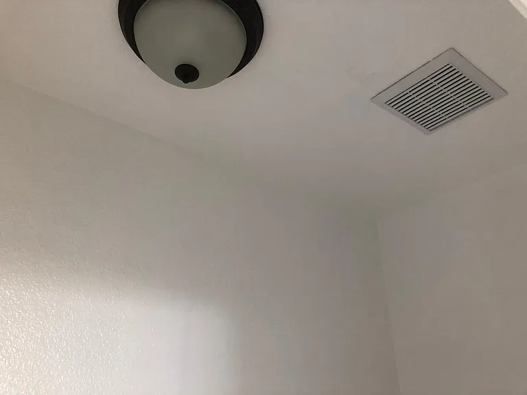 master bath toilet ceiling