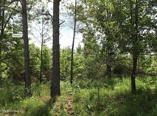 Randletown Rd, Lexington, MS 39095