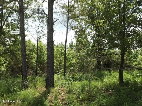 Randletown Rd, Lexington, MS 39095