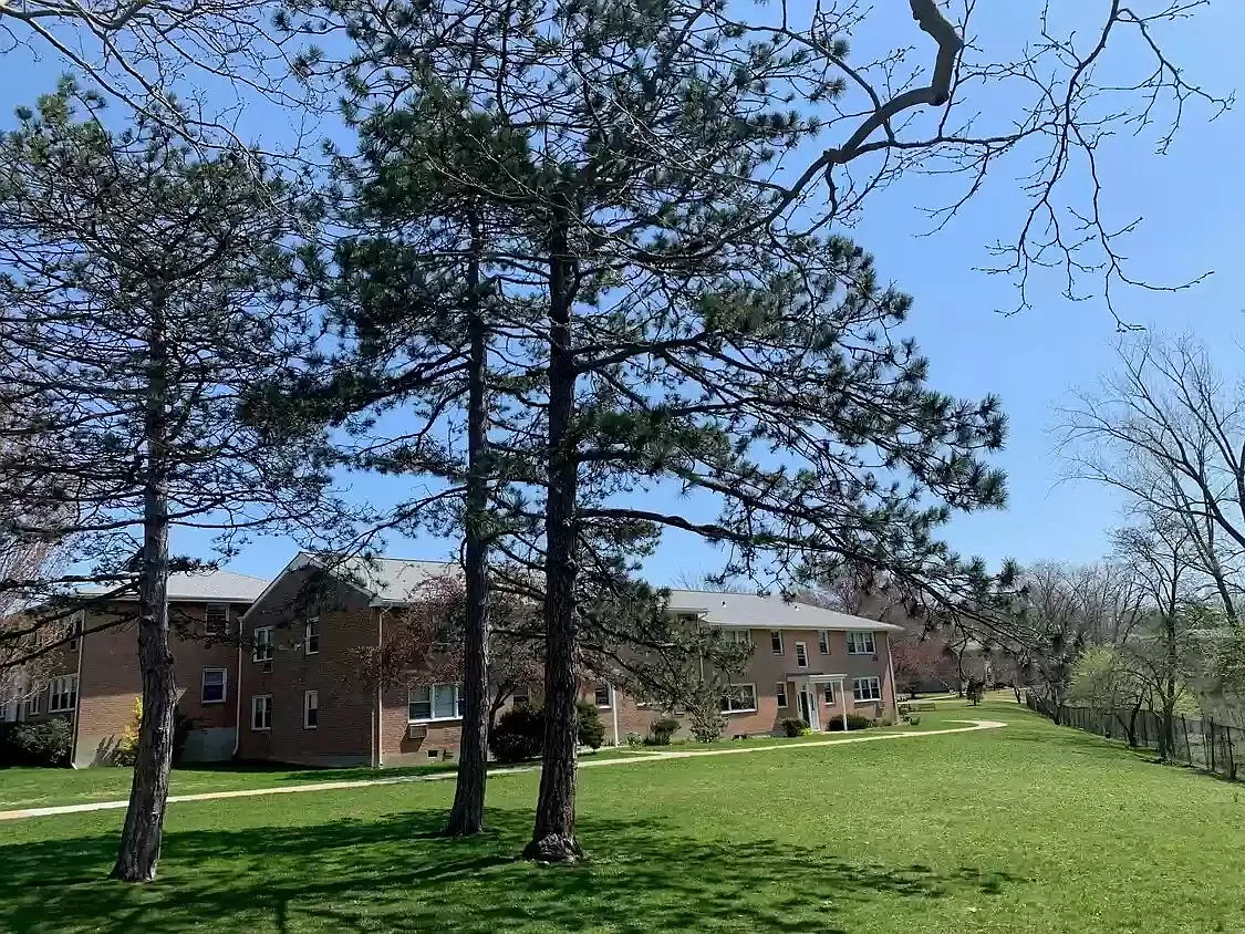 1 bed, 1.0 bath, $2,655 — Photo 4
