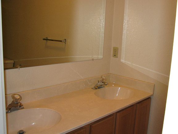           Master bathroom sinks