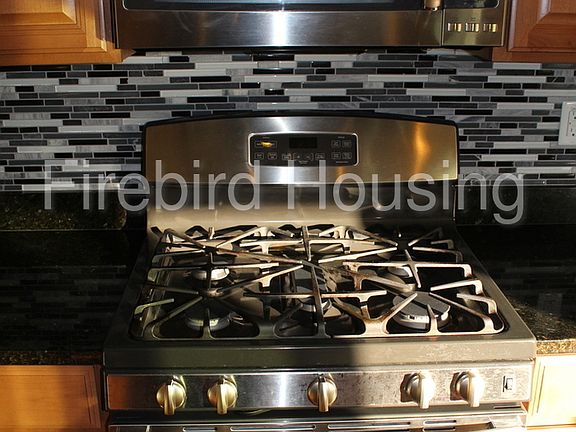 3rd image of 2963 E Saltsage Dr