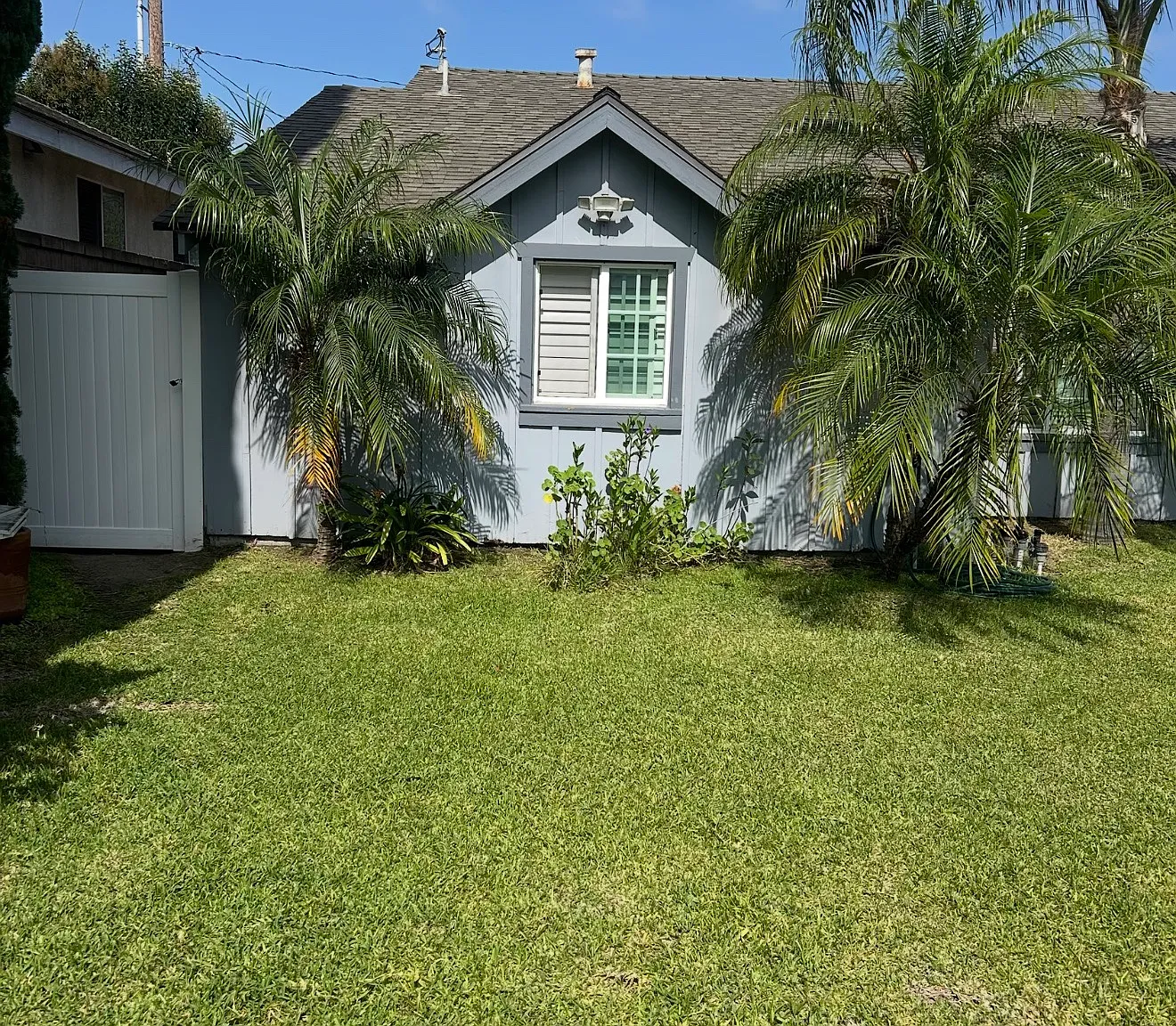 1 bed, $1,300 — Photo 2