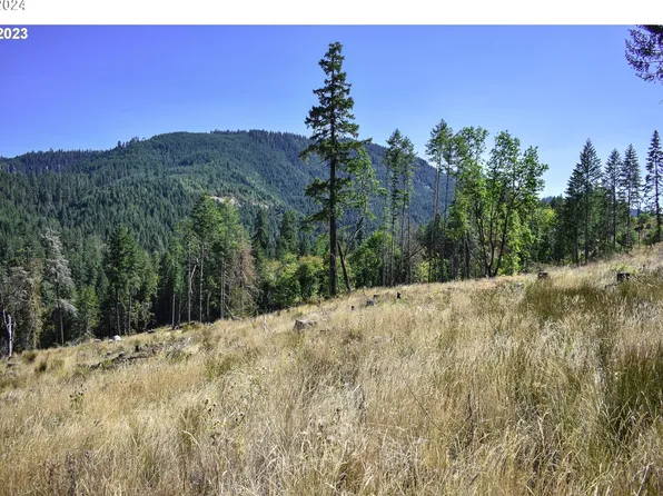 0 Rock View Ln, Glide, OR 97443