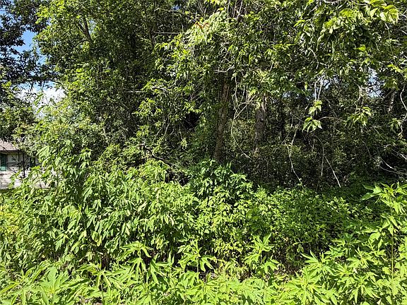 5th image of LOT 97 Lost Forest Dr Lot 97
