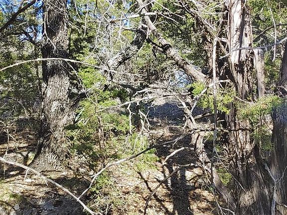 5th image of 8022 Saint Nicholas Ct Lot 35