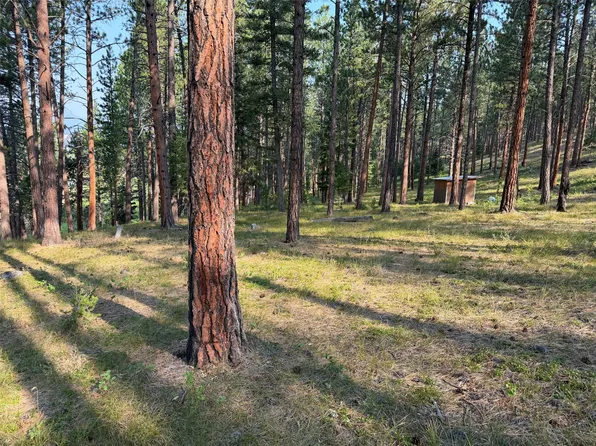 Nhn Only Sierra Ln, Bonner, MT 59823