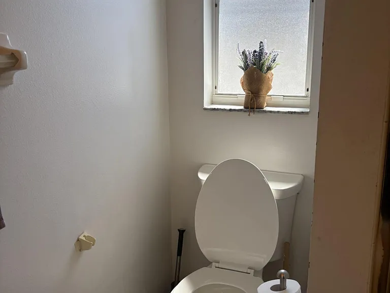 master bathroom toilet area