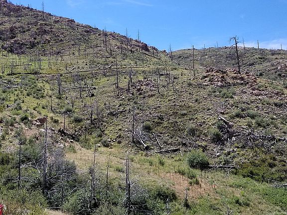 4th image of 1350 Horse Mountain Dr