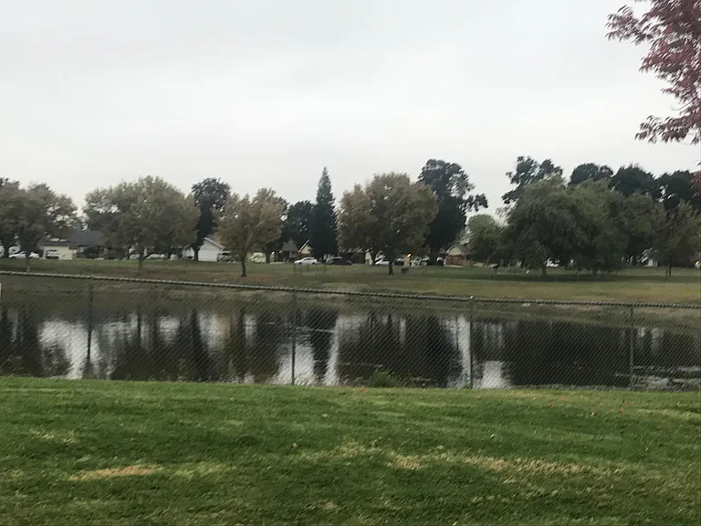 Fenced Duck pond in city park one block away