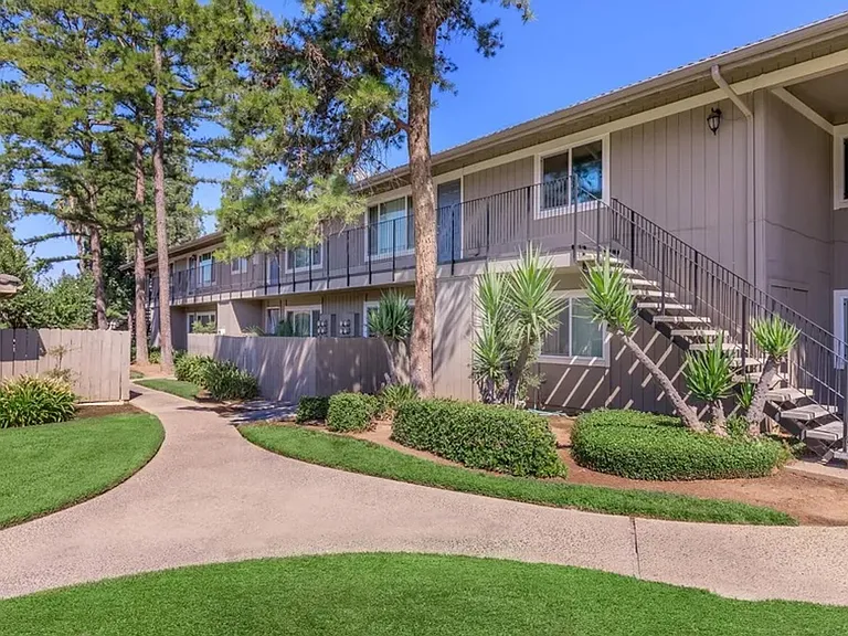 Monterey Pines — Photo 6