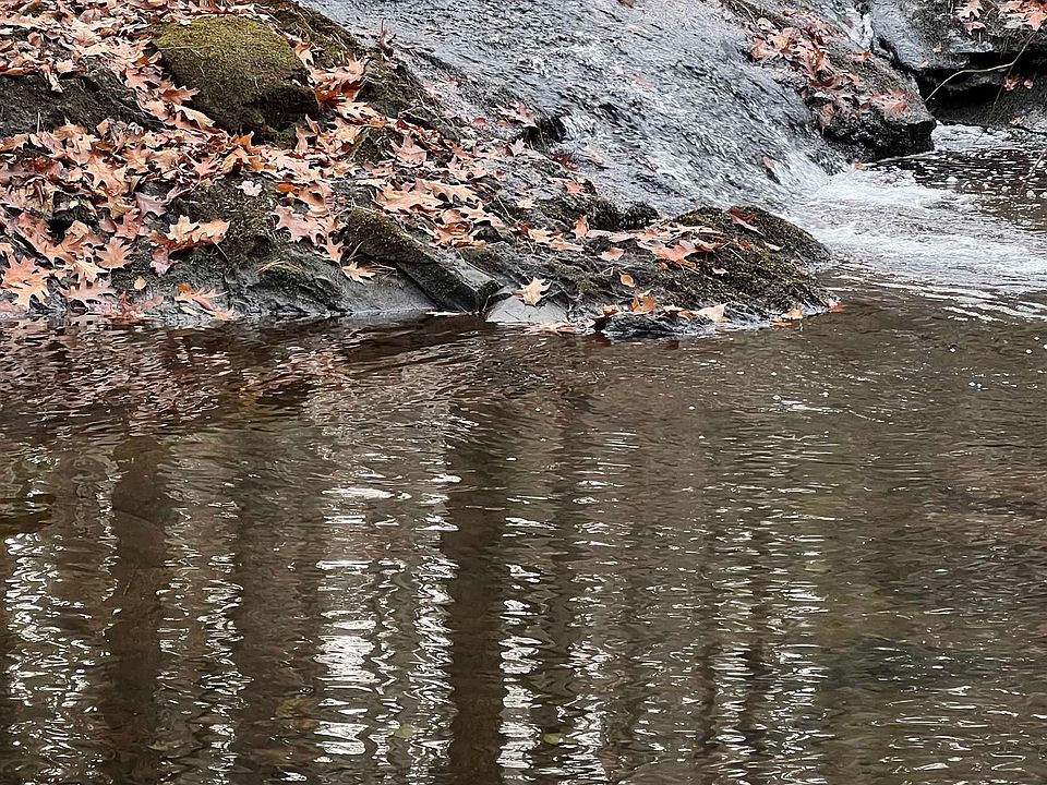 1st image of Lot 7-50B Fisk Lane #7-50B