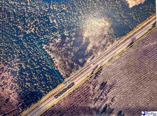 Old Hwy #4, Coward, SC 29530