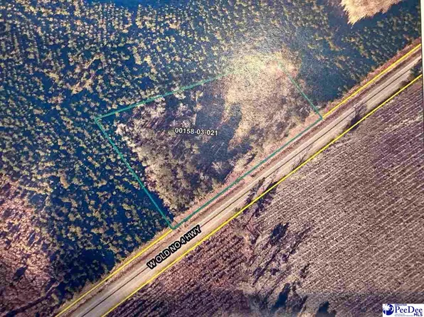 Old Hwy #4, Coward, SC 29530