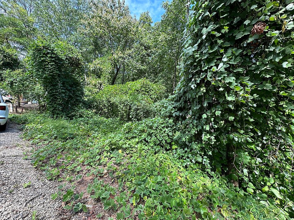 2nd image of 0 King Mountain Dr