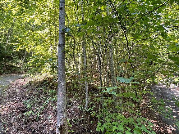 3rd image of LOT 8D Eagle Heights Rd