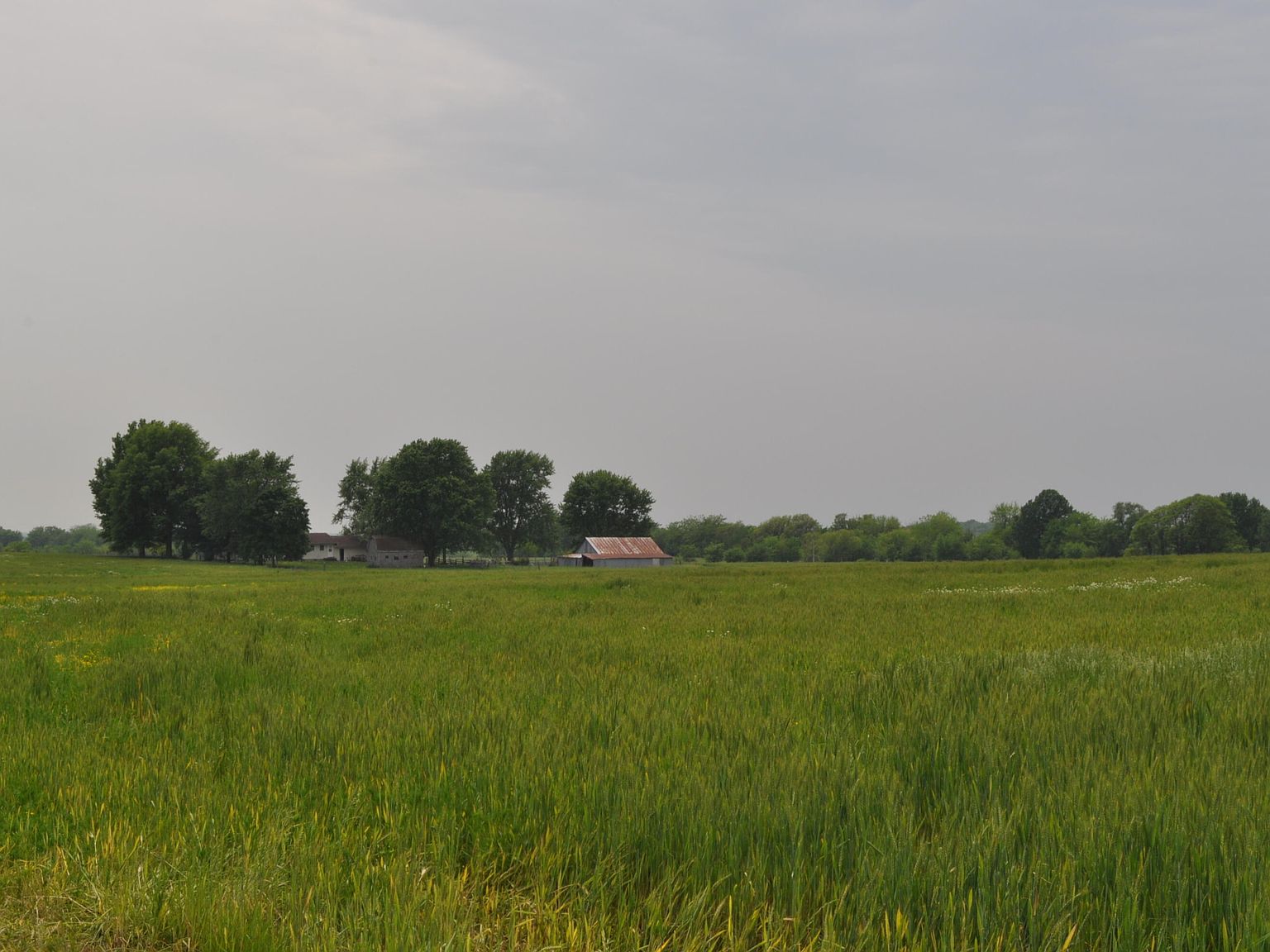 Tract C N Farm Road 71, Bois D Arc, MO 65612 | Zillow
