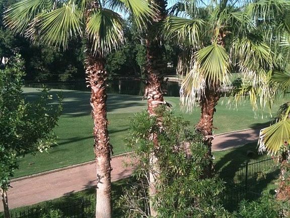 view from balcony of pool and golf course
