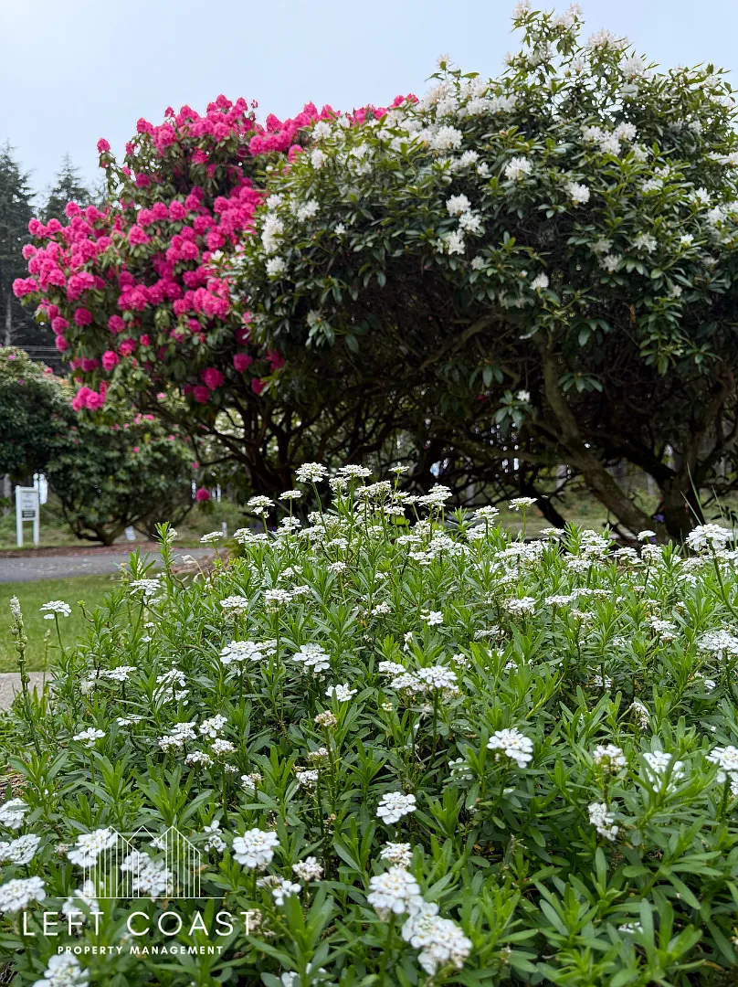 Boiler Bay RV Park - Space3 — Photo 3