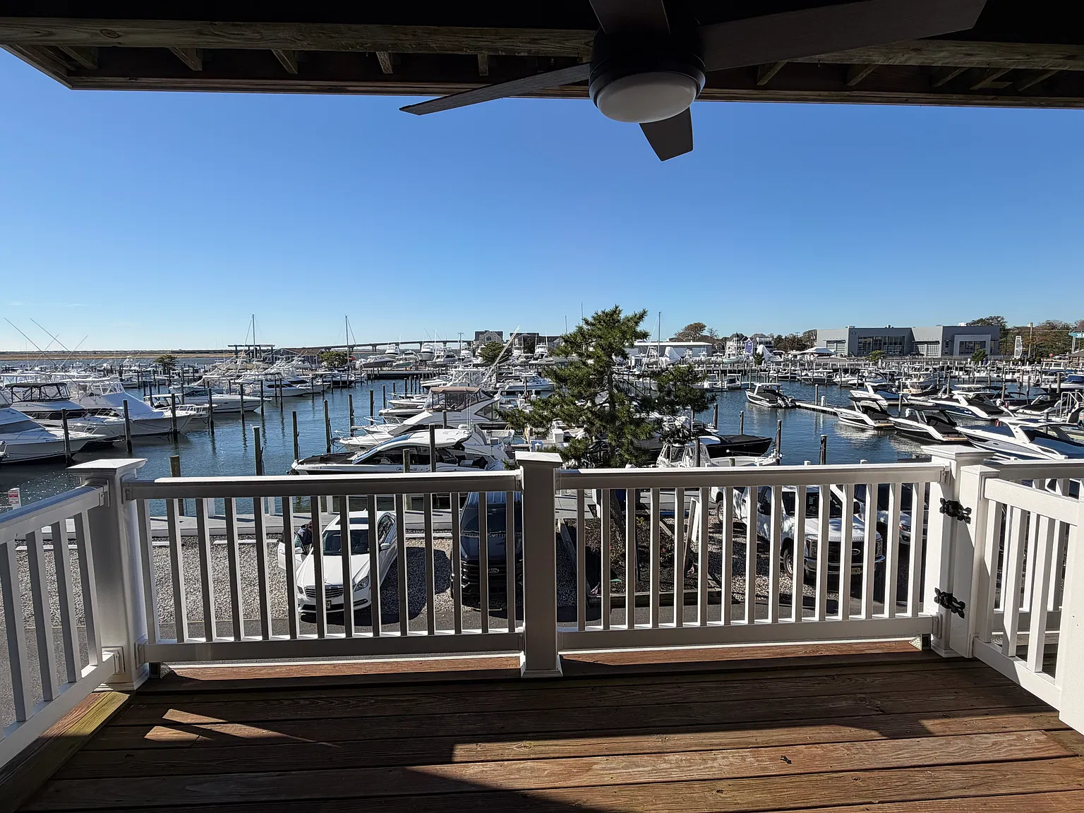 3 bed, 1600 sqft, $3,300 — Photo 2