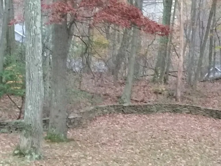 Mountain Laurel Ln — Photo 6