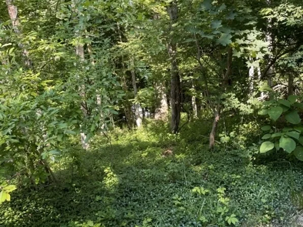 5 Christine Rd, Independence Twp., NJ 07840