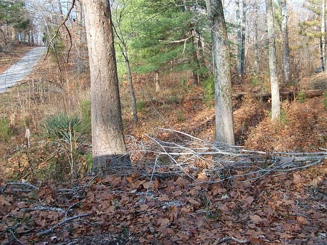 1st image of 1075 Rockcastle Lakeshore Dr