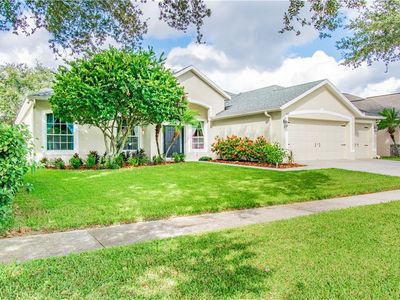 4408 Maren Trace Ln, Valrico, FL, 33596