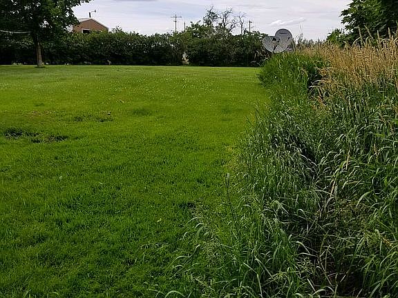 Back side yard from the side