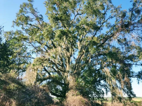 0 NE 96th Ave, Archer, FL 32618