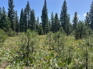 157 Arrowleaf Rd, Portola, CA 96122