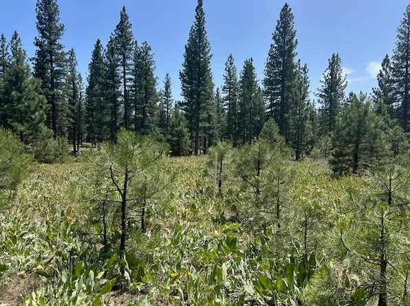 157 Arrowleaf Rd, Portola, CA 96122