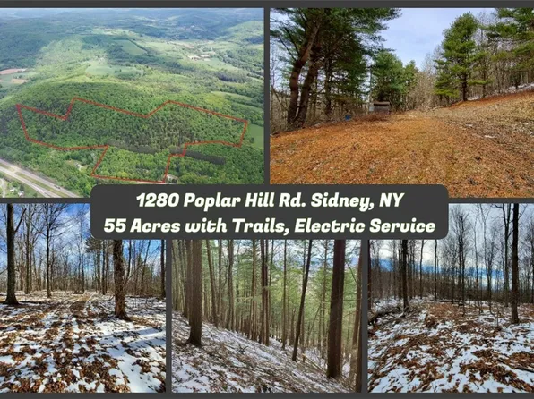 1280 Poplar Hill Rd #1, Sidney, NY 13838