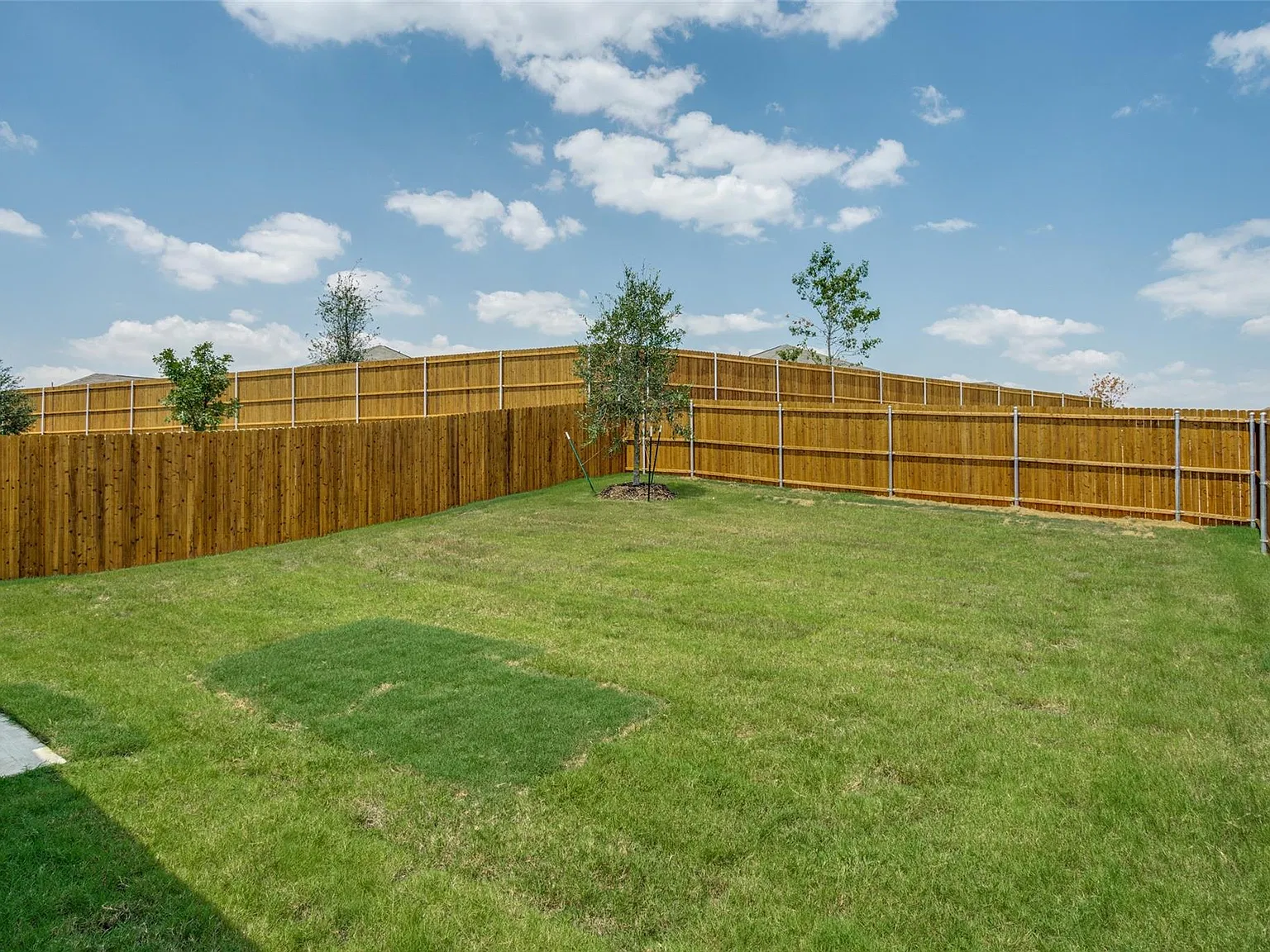 3 bed, 1407 sqft, $1,950 — Photo 3