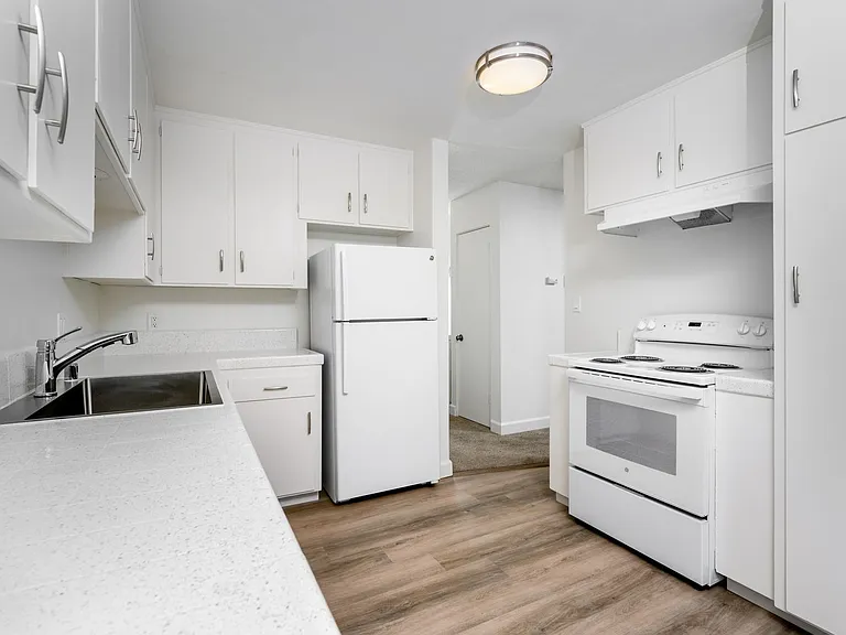 Antone Apartments — Photo 162