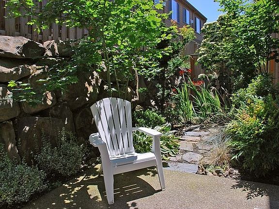 Backyard / Patio