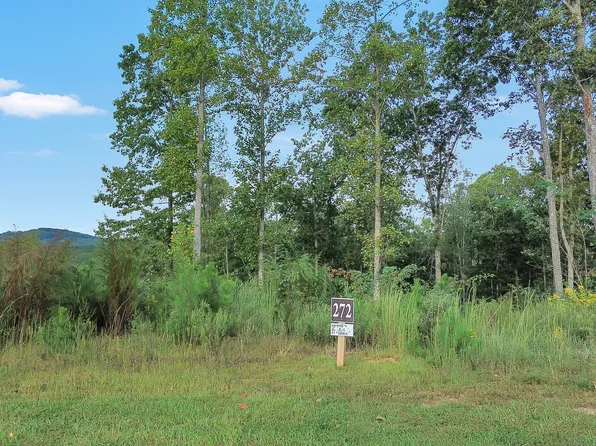 LOT 272 Highgrove Dr, Talking Rock, GA 30175