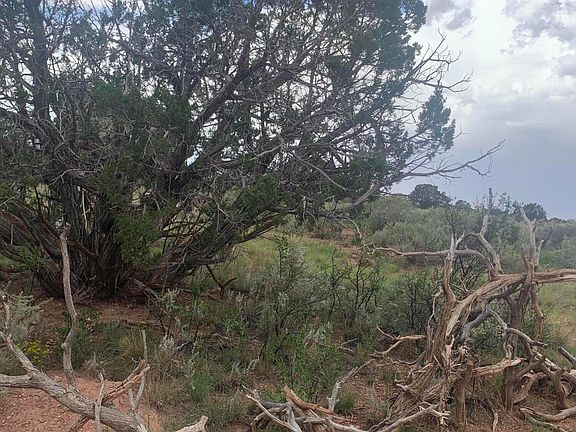5th image of 3072 Indian Meadows Rd